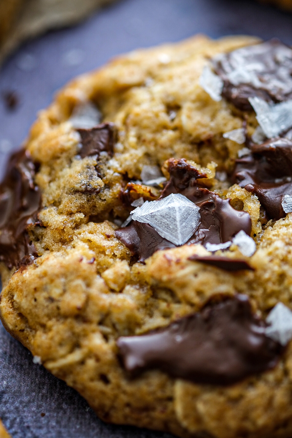 Oatmeal chocolate chip cookies photography