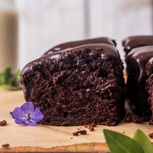 vegan chocolate zucchini snack cake