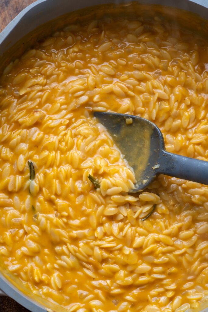 Pumpkin Orzo